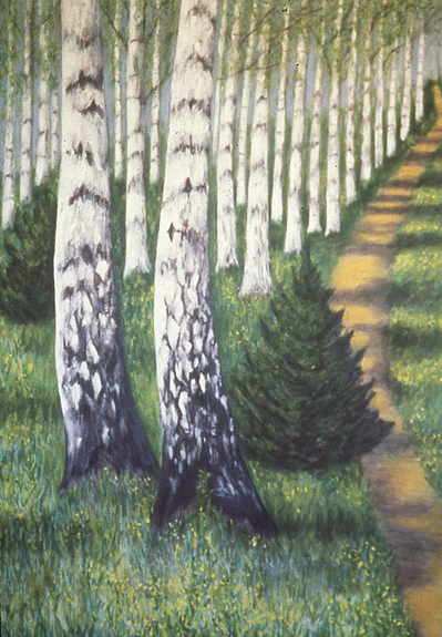 Birch Forest and Path